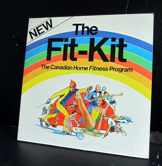 Vinyl LP  The Fit Kit