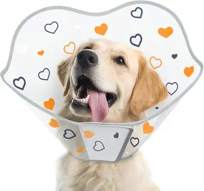 After Surgery Dog Cone (XXL), View more