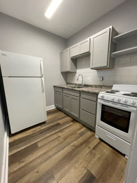One Bedroom Renovated Downtown 