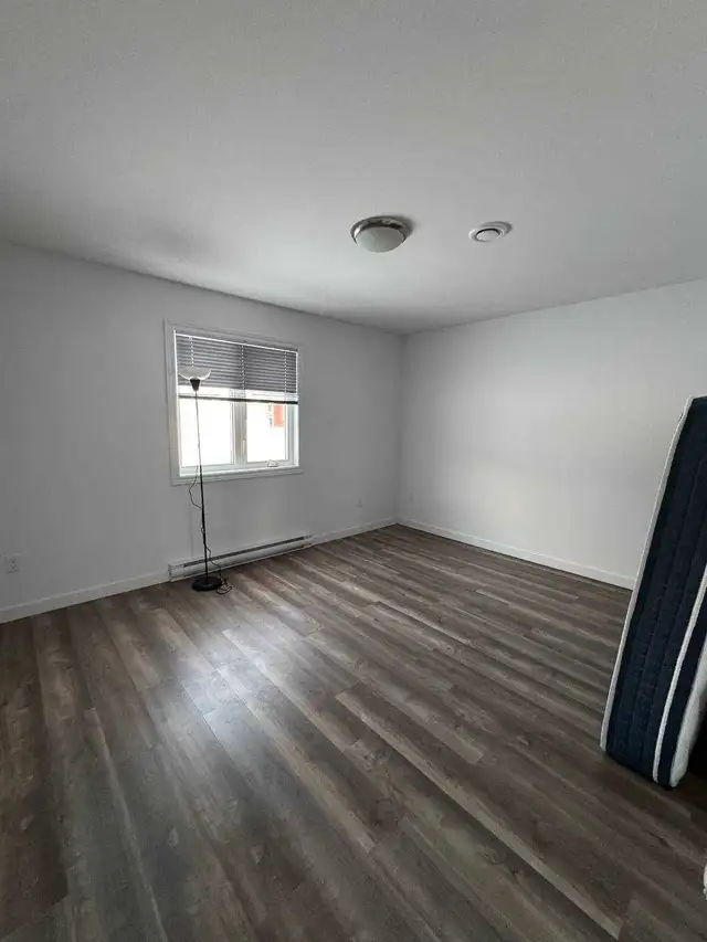 room for rent in Room Rentals & Roommates in Cape Breton - Image 8