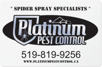 Spider and Insect Control