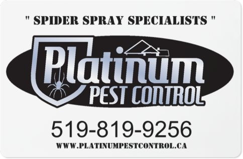 Spider and Insect Control in Other in Leamington