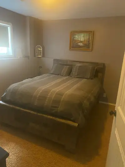 roommate wanted