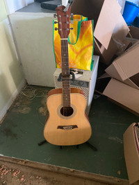Academy guitar (model ACG41N)