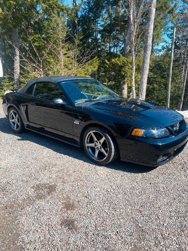 2003 Ford Mustang Centennial Edition in Cars & Trucks in Moncton - Image 3