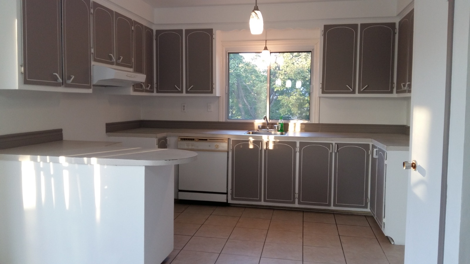 Logement à louer — photo 2
