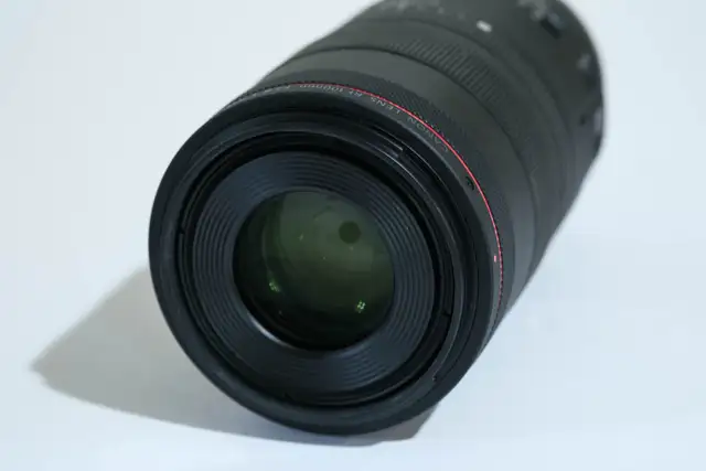 Canon RF 100mm f2.8 Macro L IS USM Lens