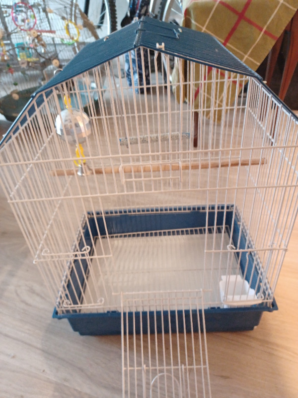Birdcage with a swing and disco-ball like new in Birds for Rehoming in Abbotsford - Image 2