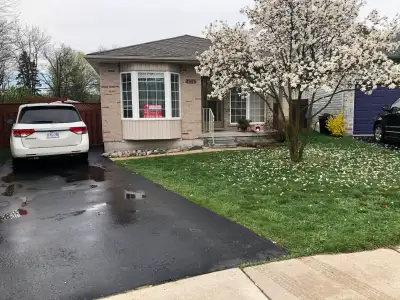 Basement unit for Lease/ Rent - $1,600 per Month. Property: - Basement unit in an Independent House....