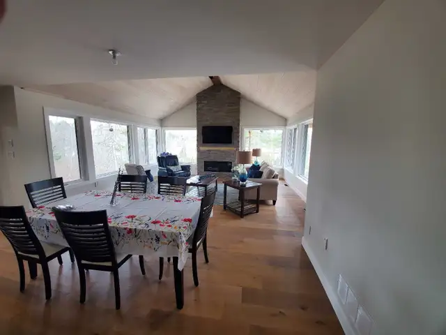 professional Painter 65585440938625122