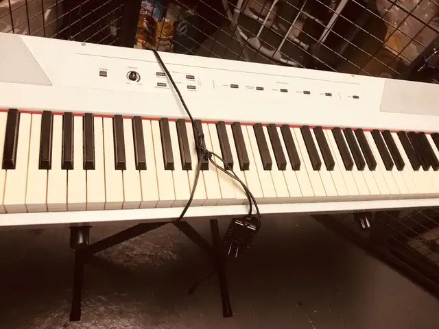 Alesis Recital 88 Keyboard Digital Piano with stand $200 in Pianos & Keyboards in City of Toronto - Image 5