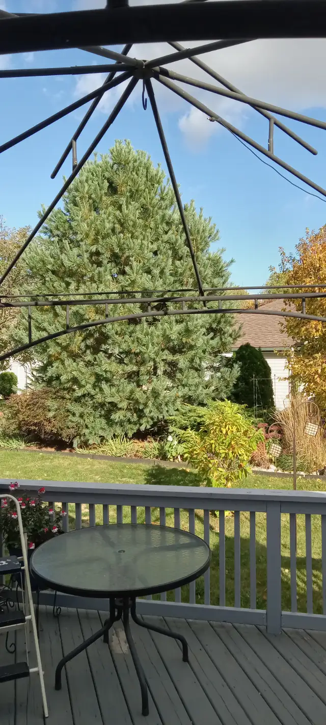 10 x10 shade gazebo. in Patio & Garden Furniture in Norfolk County - Image 5