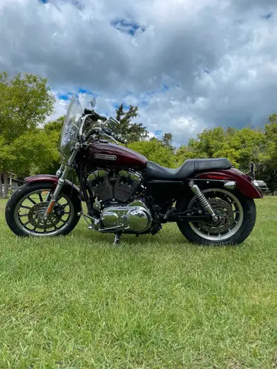 Beautiful 2008 Harley Davidson Sportster 1200 Bought last May at 11957 miles Grass photo from my yar...