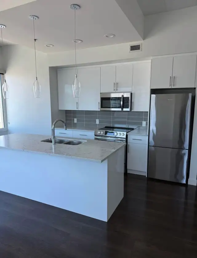 2 Bedroom 2 Bathroom Downtown Apartment