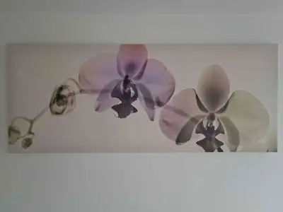 IKEA Canvas Wall Art, View more