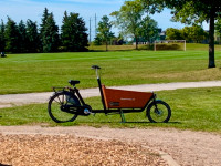 The popular family cargo bike! Haul with style!