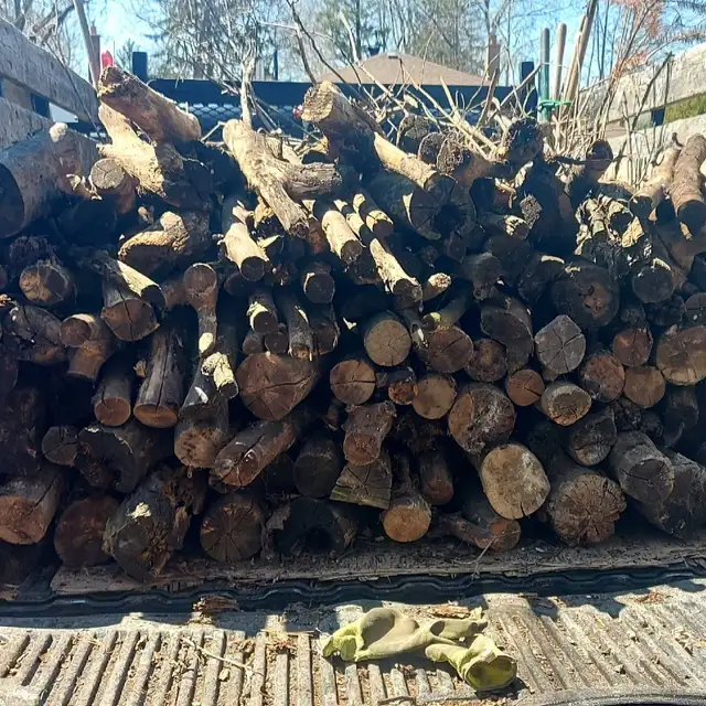 Vaughan Junk Removal in Snow Removal & Property Maintenance in Markham / York Region - Image 6