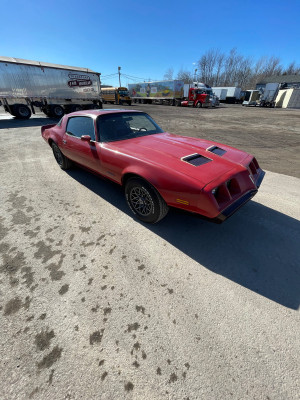 1980 Pontiac Firebird