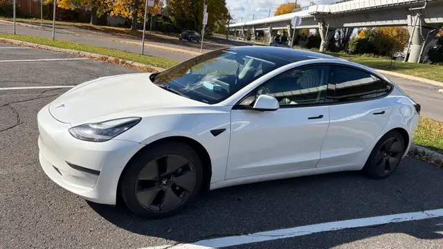 2021 Tesla Model 3 SR+598246684571750401