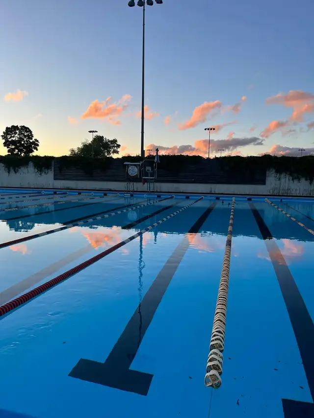 Private Swimming Lessons475928156470650880