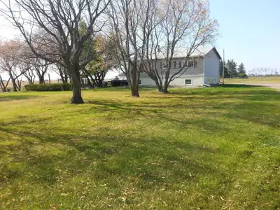 Clean rooms to rent in Esterhazy/SpyHill/Gerald/Rocanville area. Comes with wireless internet, light...