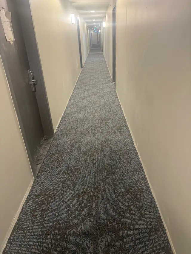 carpet installation 509908063702241289