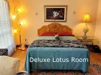 New Lotus Room near York U, Humber College, YYZ - Avail Now!