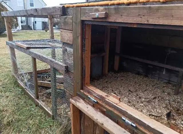 chicken tractor/ chicken coop in Livestock in Bedford - Image 4