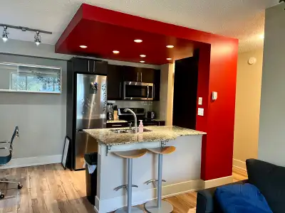 Available May 1st - 1 bedroom apartment located next to SAIT and near UCalgary Rent is $1800/month i...