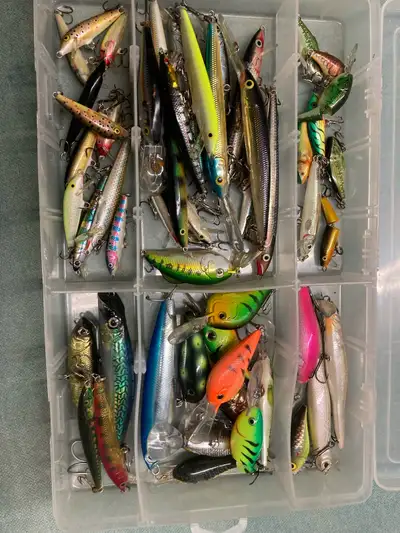 Tackle Tray of Rapalas , View more