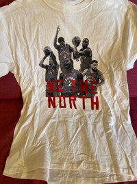 Kawhi Leonard, Vanvleet raptors 2019 playoff shirt size L