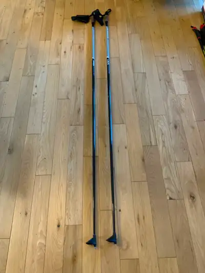 LAZL GRIFFIN - 90% Carbon Ski Pole 170 cm, View more