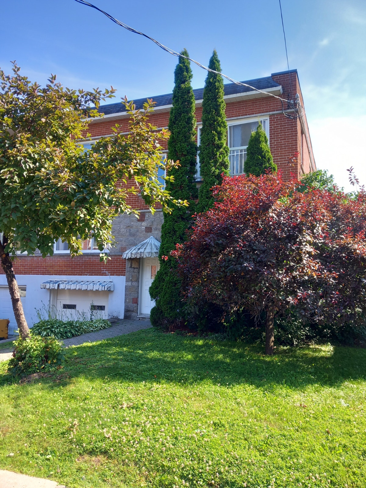 4922 Avenue Mariette — photo 1