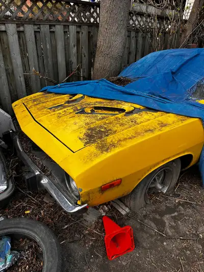 Couda and Chevy Chauvel (1969), 396 motor, four on the floor. 1977 Mercedes Benz SL450 with two tops...
