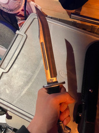 Buck 120 hunting knife