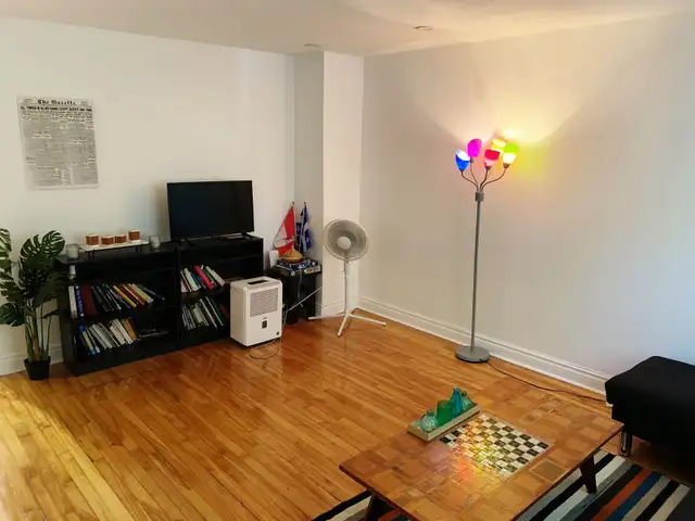 Beautiful 4 & 1/2 Furnished Apartment with Wi-Fi