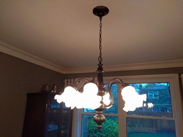 chandelier in Indoor Lighting & Fans in Sarnia