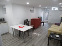 1 Bedroom Furnished Basement Apartment for August 15