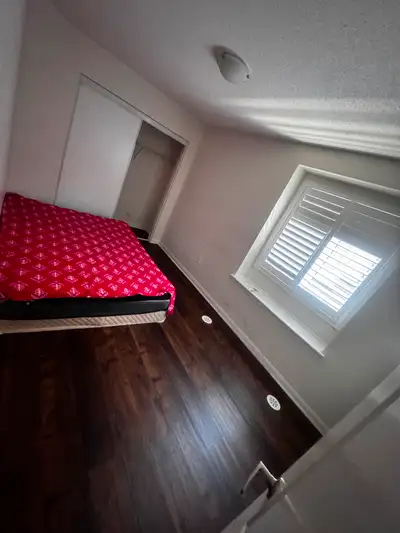 All amenities nearby Friendly environment Room in upper level