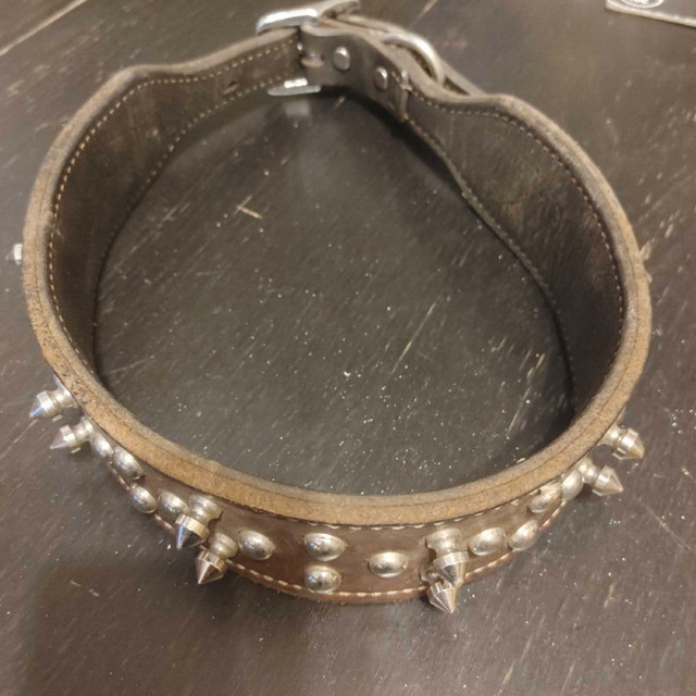 Dog collar  in Accessories in Ottawa