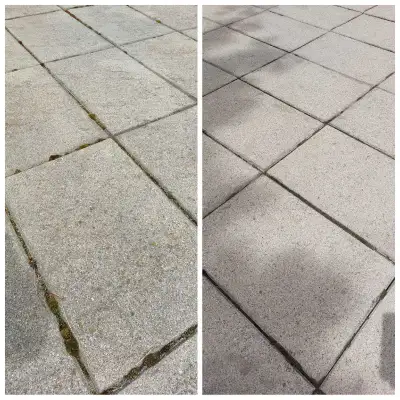 Free quotes for professional power washing services.