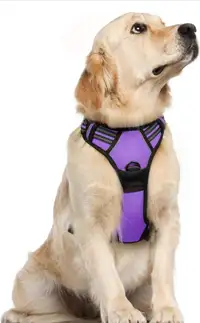 BRAND NEW! No-Pull Pet Harness Adjustable Size XL