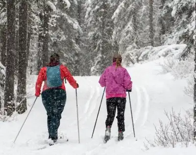 his hers full waxless cross country ski sets options, View more