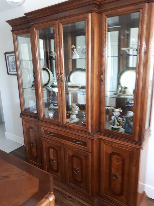 Antique Dining Room Suite in Dining Tables & Sets in Hamilton