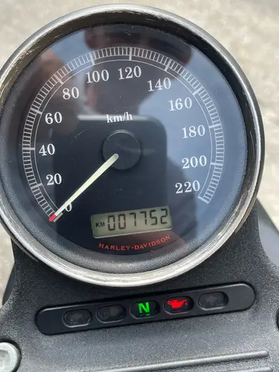 2008 Harley-Davidson Nightster 1200 under 8000 km New battery in spring Engine oil change a few week...