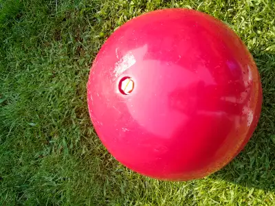 Horse / Animal Play Ball - Tough shell, fillable w/water or sand, View more