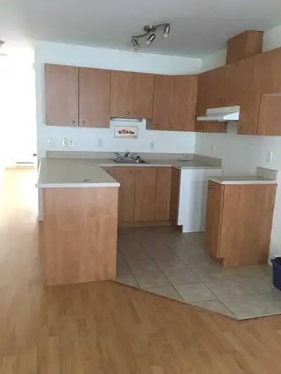 Style condo 4 et demi dans un 4 log nord Sherbrooke près du carrefour ,piste cyclable, parc, très tr...