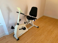 Vision Fitness indoor exercise bike