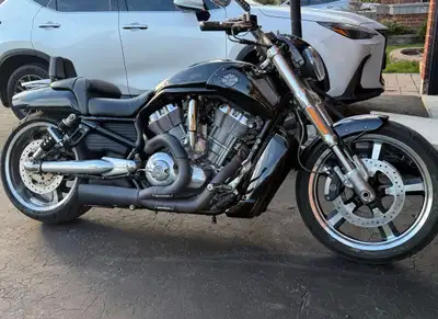 2010 vrod muscle great condition, just over 16,000 km bike is currently on the road. Brand new hd gr...