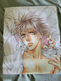 Finder Series - Takaba Akihito Body Pillow Cover (Brand New)